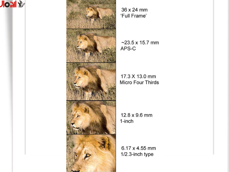 تصویر Field of View