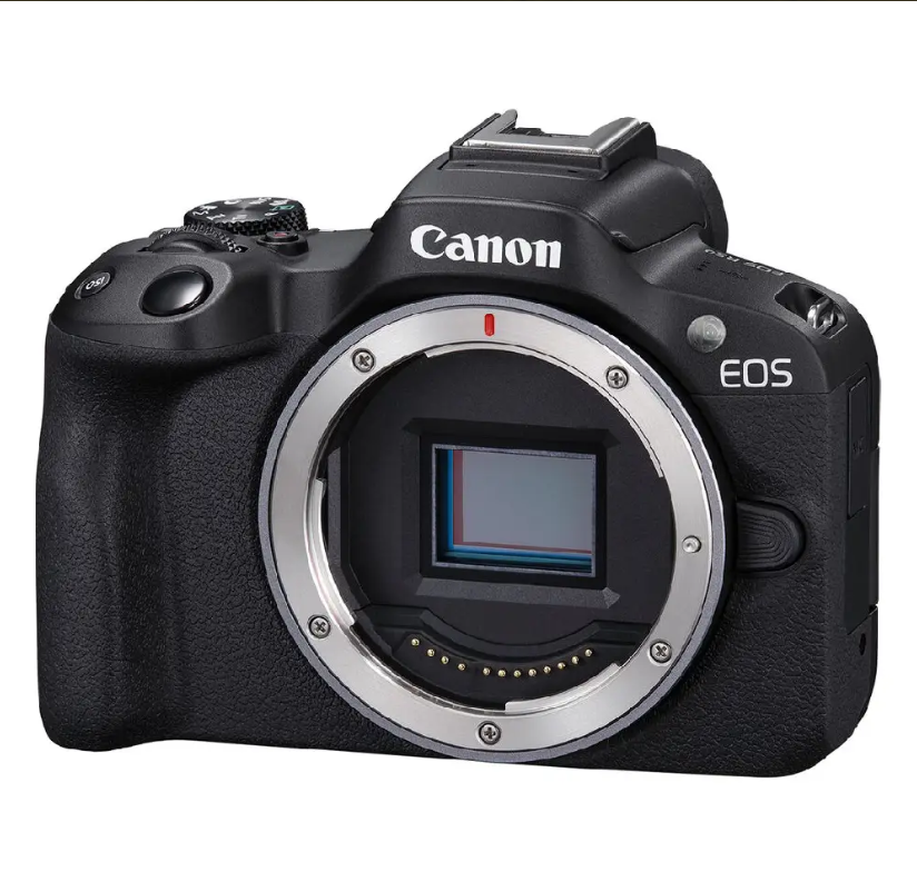 تصویر دوربین کانن EOS R50 