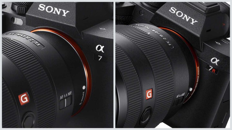 مقایسه دو دوربین Sony A7R V و Sony A7 IV