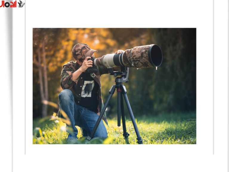 دوربین مناسب عکاسی طبیعت | راهنمای فوق‌جامع انتخاب بهترین دوربین برای منظره، حیات وحش و سفر